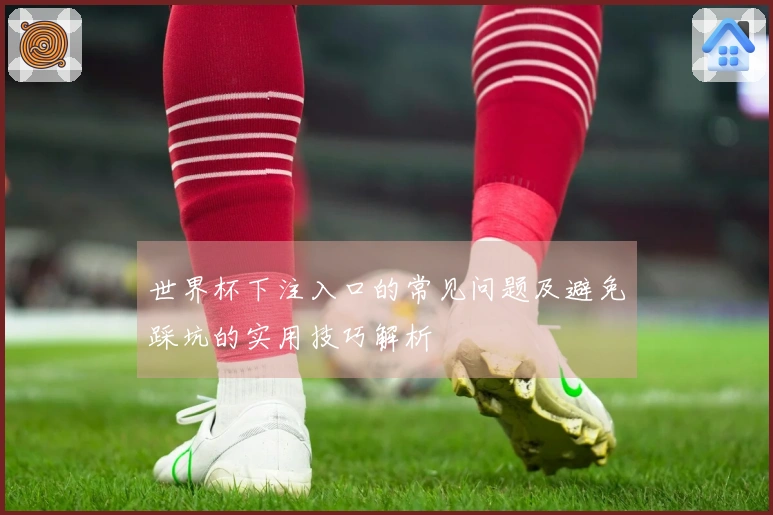 世界杯下注入口的常见问题及避免踩坑的实用技巧解析