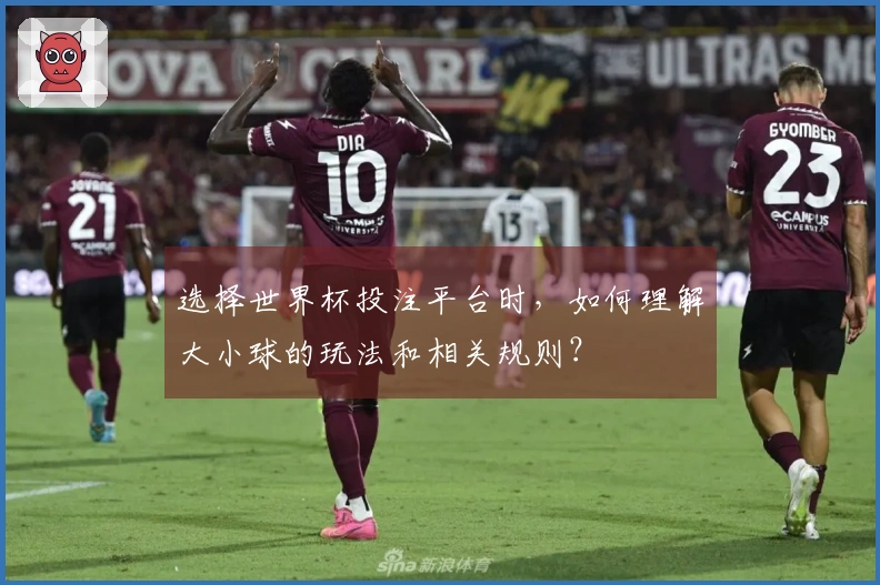 选择世界杯投注平台时，如何理解大小球的玩法和相关规则？