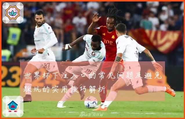 世界杯下注入口的常见问题及避免踩坑的实用技巧解析