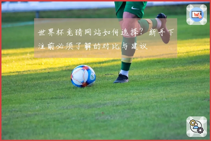 世界杯竞猜网站如何选择？新手下注前必须了解的对比与建议