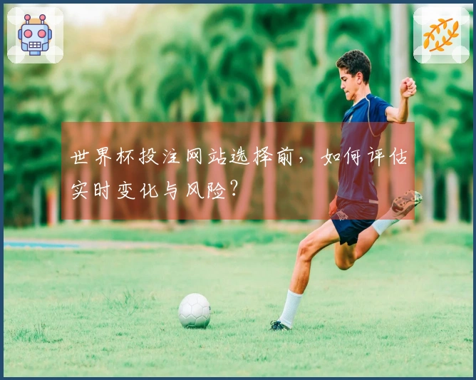 世界杯投注网站选择前，如何评估实时变化与风险？