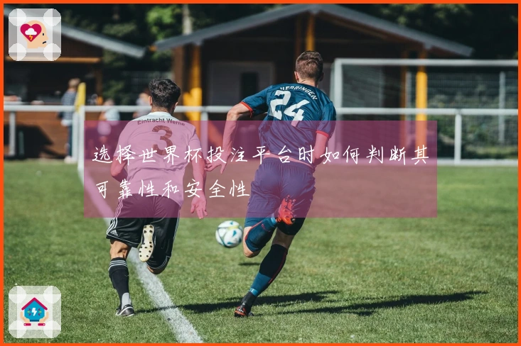 选择世界杯投注平台时如何判断其可靠性和安全性