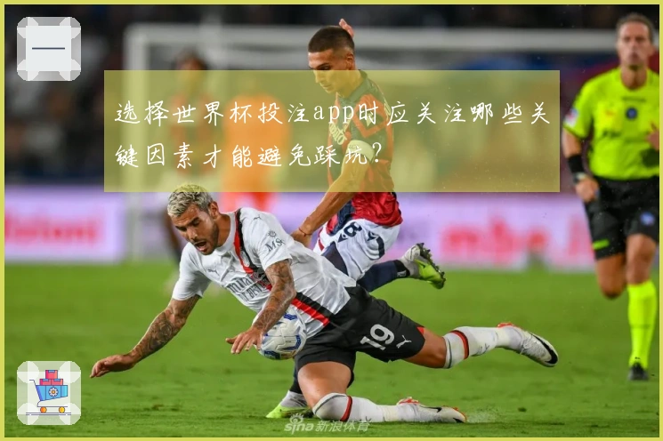 选择世界杯投注app时应关注哪些关键因素才能避免踩坑？