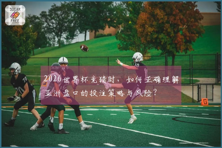 2026世界杯竞猜时，如何正确理解亚洲盘口的投注策略与风险？