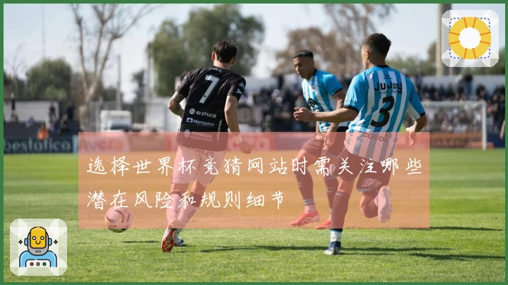 选择世界杯竞猜网站时需关注哪些潜在风险和规则细节