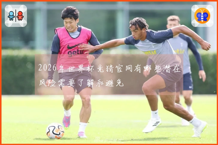 2026年世界杯竞猜官网有哪些潜在风险需要了解和避免