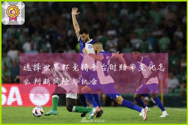 选择世界杯竞猜平台时赔率变化怎么判断风险与机会