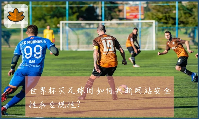 世界杯买足球时如何判断网站安全性和合规性？