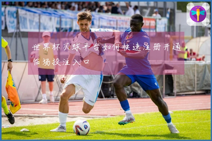 世界杯买球平台如何快速注册开通临场投注入口