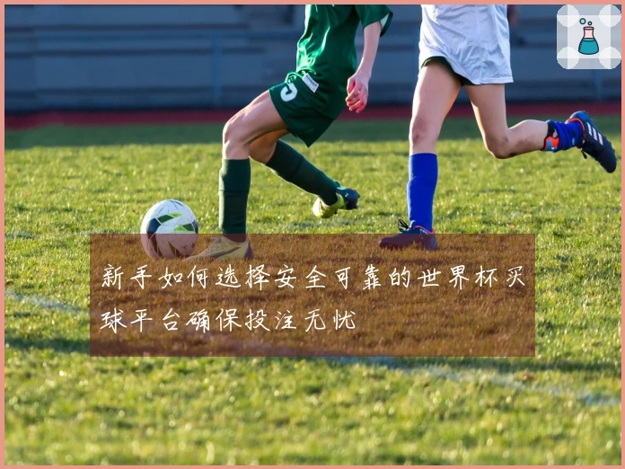 新手如何选择安全可靠的世界杯买球平台确保投注无忧