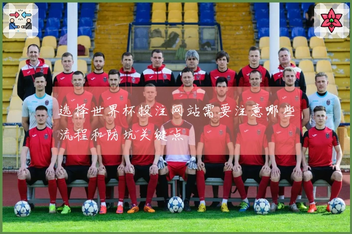 选择世界杯投注网站需要注意哪些流程和防坑关键点