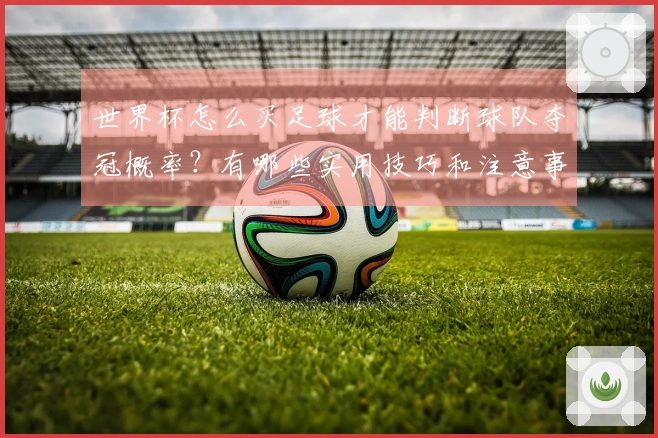 世界杯怎么买足球才能判断球队夺冠概率？有哪些实用技巧和注意事项