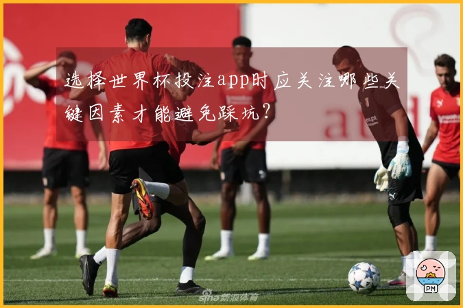 选择世界杯投注app时应关注哪些关键因素才能避免踩坑？