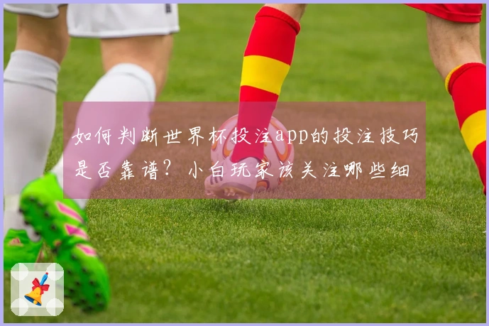 如何判断世界杯投注app的投注技巧是否靠谱？小白玩家该关注哪些细节？