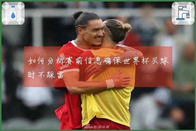 如何分析赛前信息确保世界杯买球时不踩雷