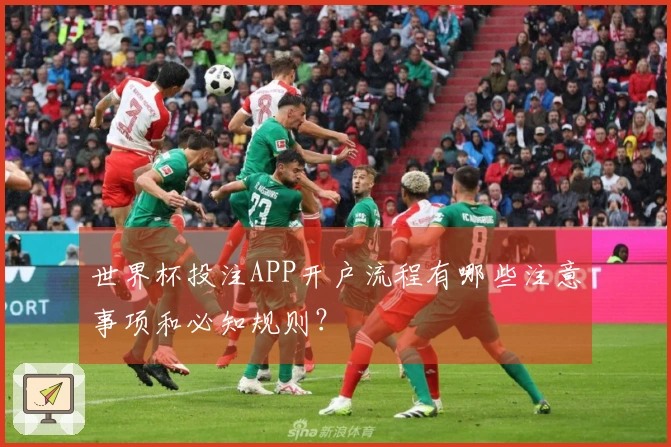 世界杯投注APP开户流程有哪些注意事项和必知规则？
