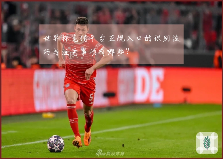 世界杯竞猜平台正规入口的识别技巧与注意事项有哪些？