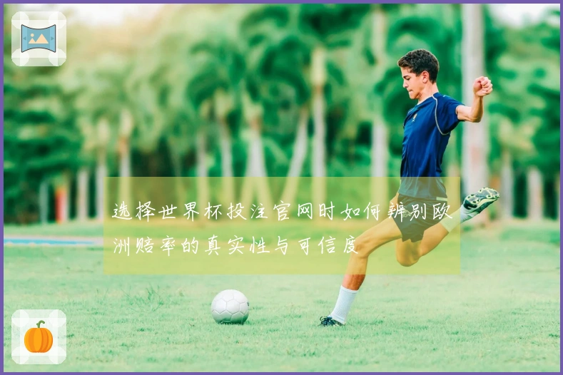选择世界杯投注官网时如何辨别欧洲赔率的真实性与可信度