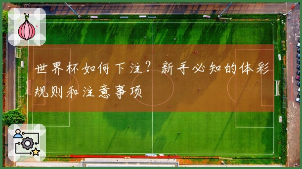 世界杯如何下注？新手必知的体彩规则和注意事项