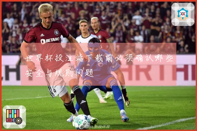 世界杯投注站下载前必须确认哪些安全与规则问题