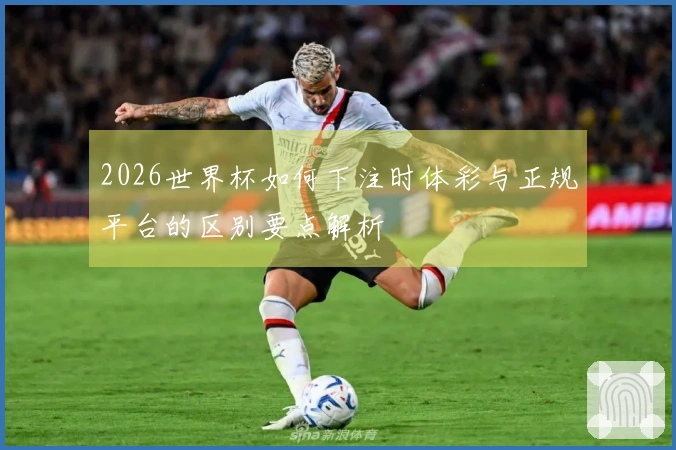 2026世界杯如何下注时体彩与正规平台的区别要点解析