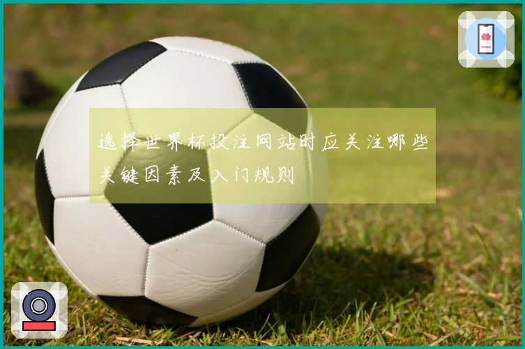 选择世界杯投注网站时应关注哪些关键因素及入门规则