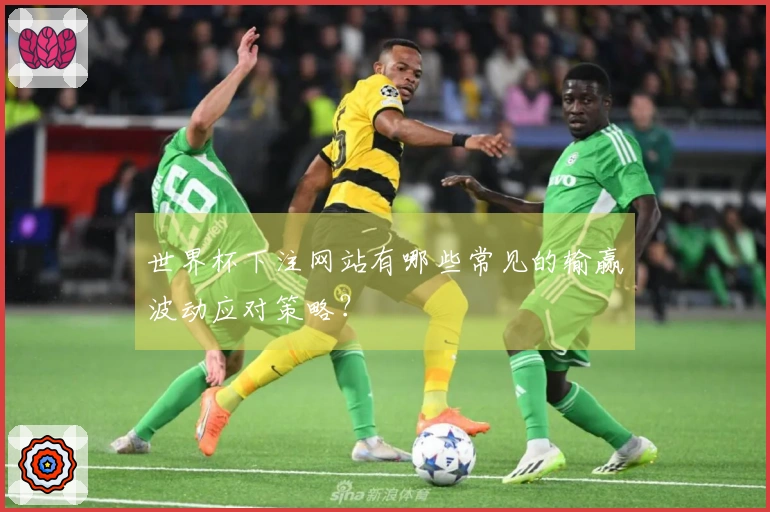 世界杯下注网站有哪些常见的输赢波动应对策略？