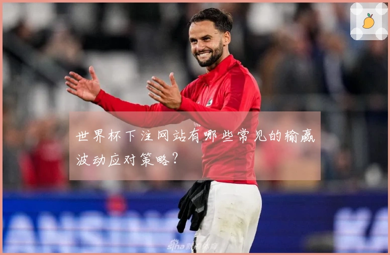 世界杯下注网站有哪些常见的输赢波动应对策略？