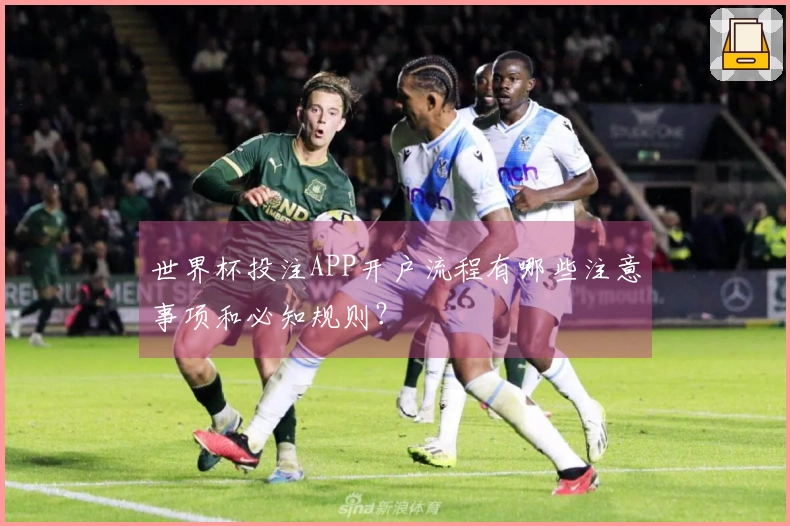 世界杯投注APP开户流程有哪些注意事项和必知规则？