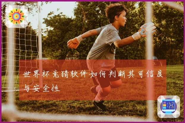 世界杯竞猜软件如何判断其可信度与安全性