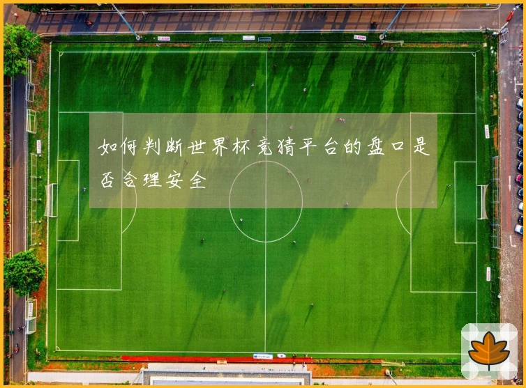 如何判断世界杯竞猜平台的盘口是否合理安全