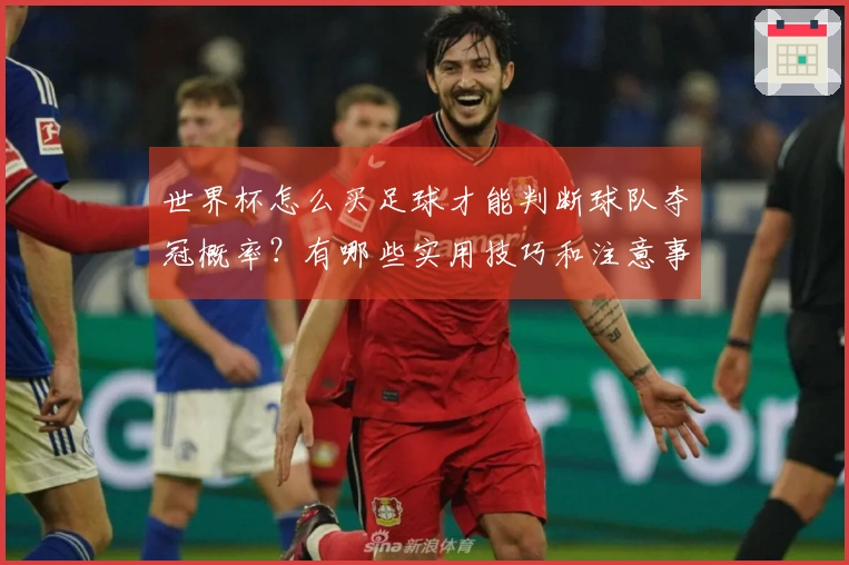 世界杯怎么买足球才能判断球队夺冠概率？有哪些实用技巧和注意事项