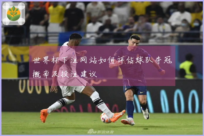 世界杯下注网站如何评估球队夺冠概率及投注建议
