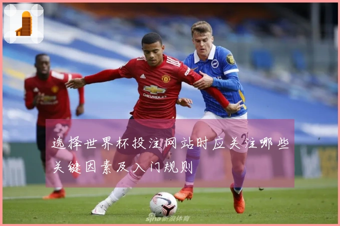 选择世界杯投注网站时应关注哪些关键因素及入门规则