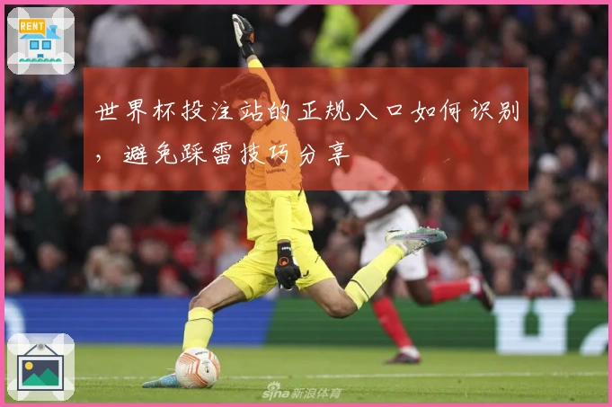 世界杯投注站的正规入口如何识别，避免踩雷技巧分享