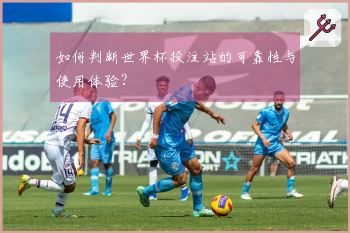 如何判断世界杯投注站的可靠性与使用体验？