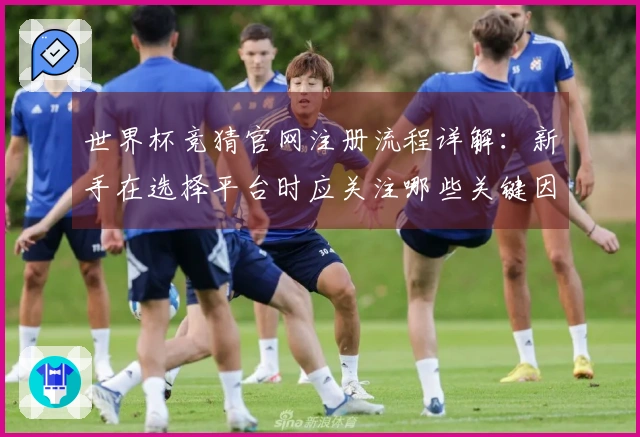世界杯竞猜官网注册流程详解：新手在选择平台时应关注哪些关键因素