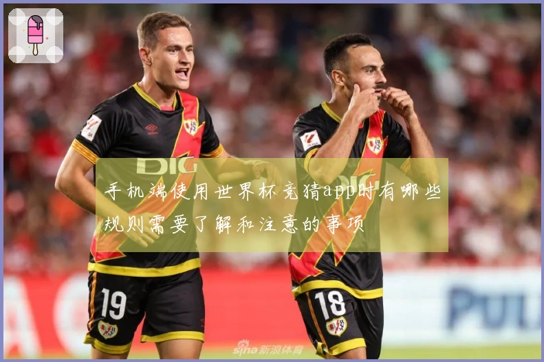 手机端使用世界杯竞猜app时有哪些规则需要了解和注意的事项