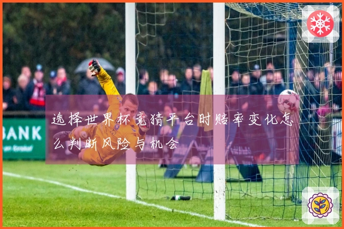 选择世界杯竞猜平台时赔率变化怎么判断风险与机会