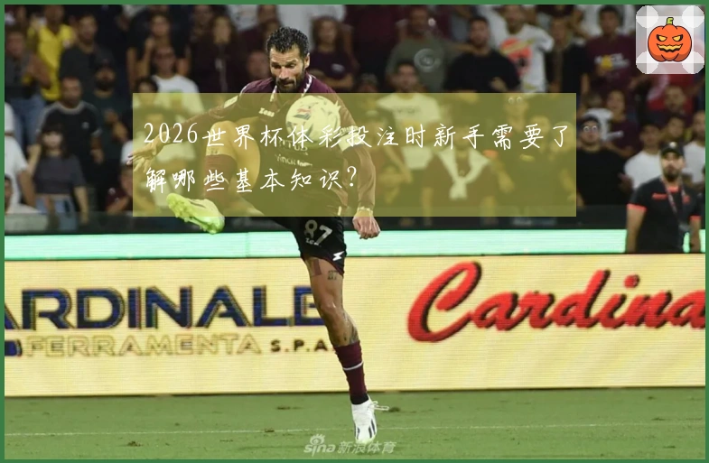 2026世界杯体彩投注时新手需要了解哪些基本知识？
