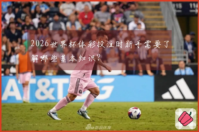 2026世界杯体彩投注时新手需要了解哪些基本知识？
