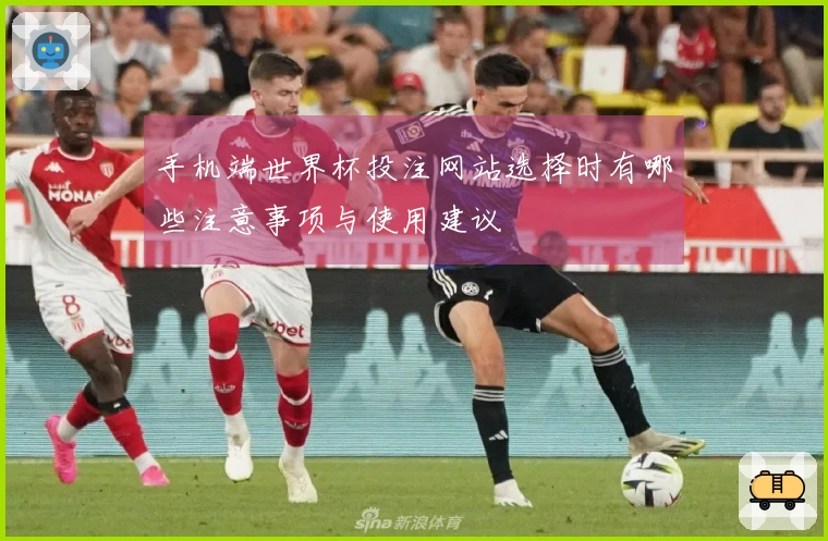 手机端世界杯投注网站选择时有哪些注意事项与使用建议