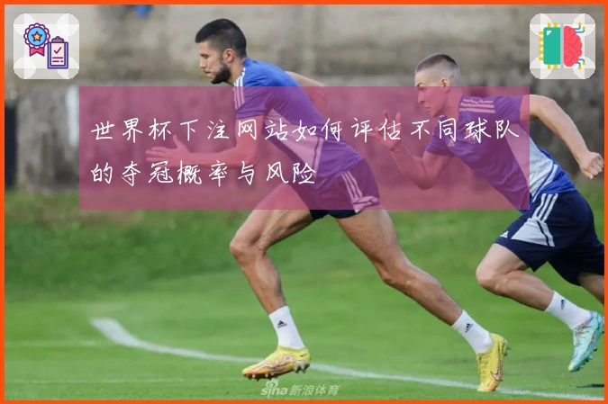 世界杯下注网站如何评估不同球队的夺冠概率与风险