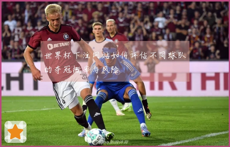 世界杯下注网站如何评估不同球队的夺冠概率与风险