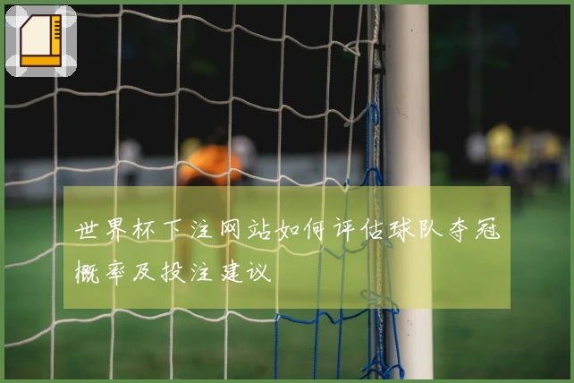 世界杯下注网站如何评估球队夺冠概率及投注建议