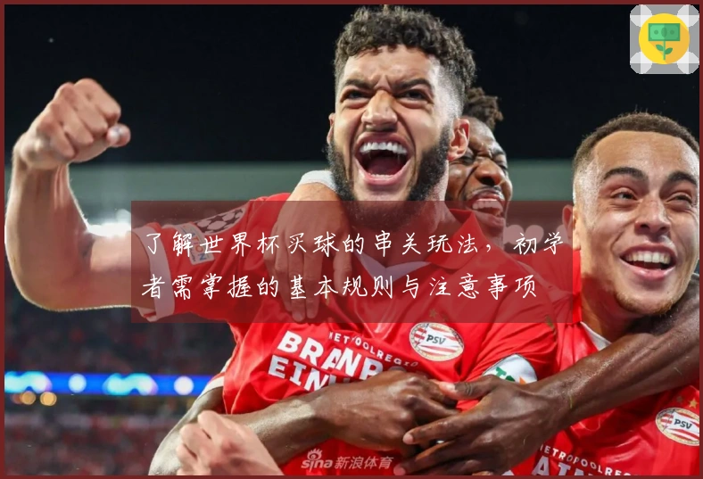了解世界杯买球的串关玩法，初学者需掌握的基本规则与注意事项