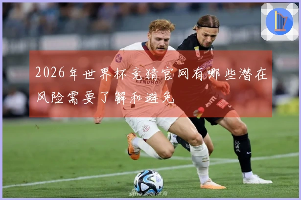 2026年世界杯竞猜官网有哪些潜在风险需要了解和避免