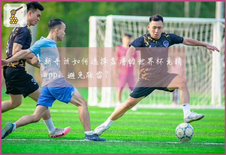新手该如何选择靠谱的世界杯竞猜app，避免踩雷？